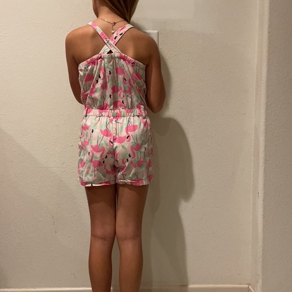 COPY - Gymboree pink flamingos romper - Picture 2 of 9